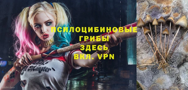 PSILOCYBIN Алзамай