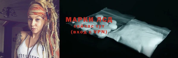 PSILOCYBIN Алзамай
