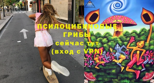 PSILOCYBIN Алзамай