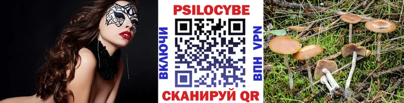 Псилоцибиновые грибы мухоморы  купить закладку  ссылка на мегу сайт  Артём 